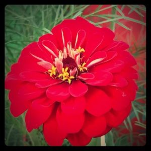 Meet your Posher, Laura